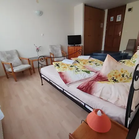 City Hotel Siofok Hotel 3*