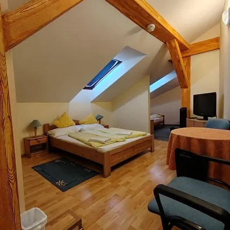 City Hotel Siofok ホテル 3*